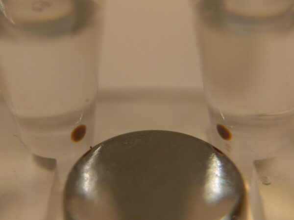 Magnetic beads forming tight spots on AccuMag 16