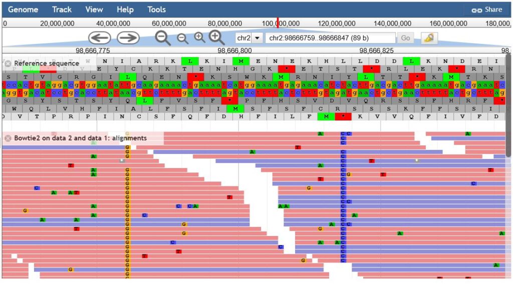 Mapping and SNPs_JBrowse